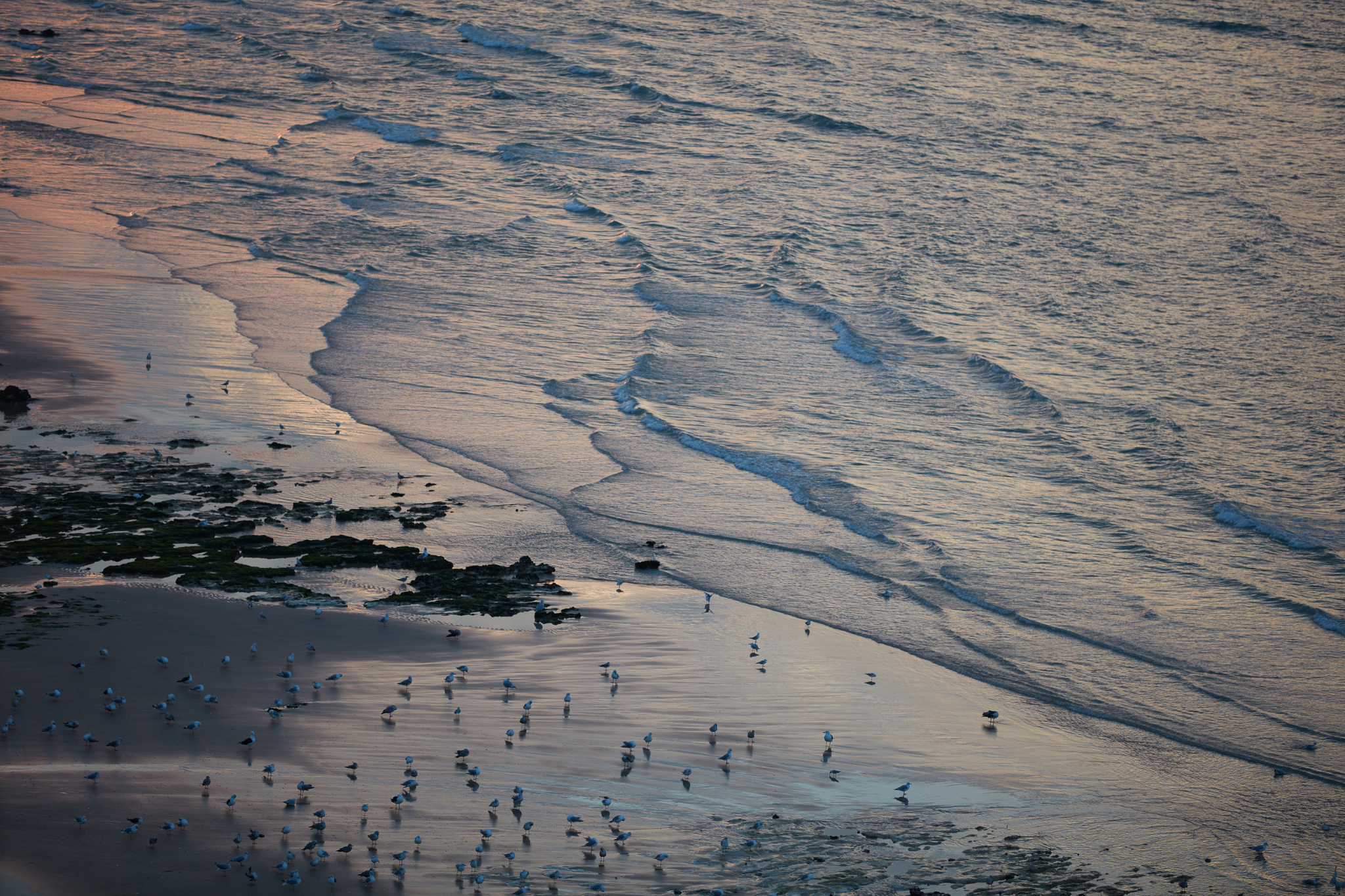 Normandie Quiberville 2021 184